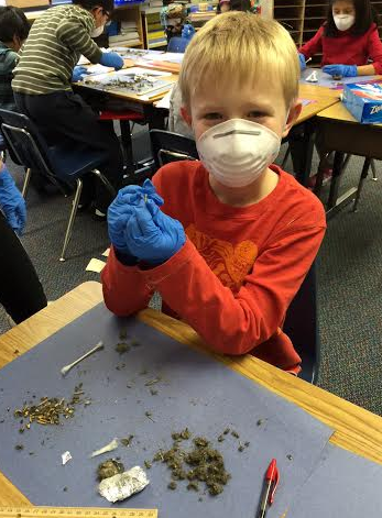 Screen Shot 2015-01-13 at 10.15.40 AM