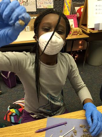 Screen Shot 2015-01-13 at 10.15.50 AM