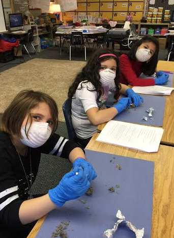 Screen Shot 2015-01-13 at 11.26.53 AM