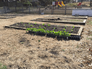 Screen Shot 2015-03-17 at 9.01.39 PM