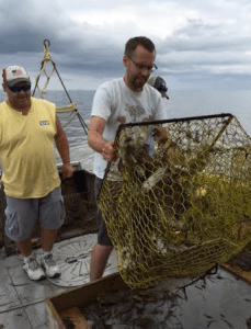 Screen Shot 2015-07-19 at 3.54.48 PM