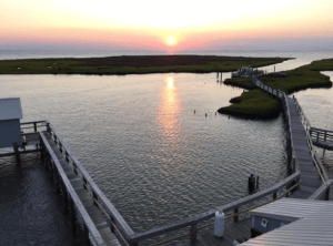 Screen Shot 2015-07-19 at 3.55.38 PM